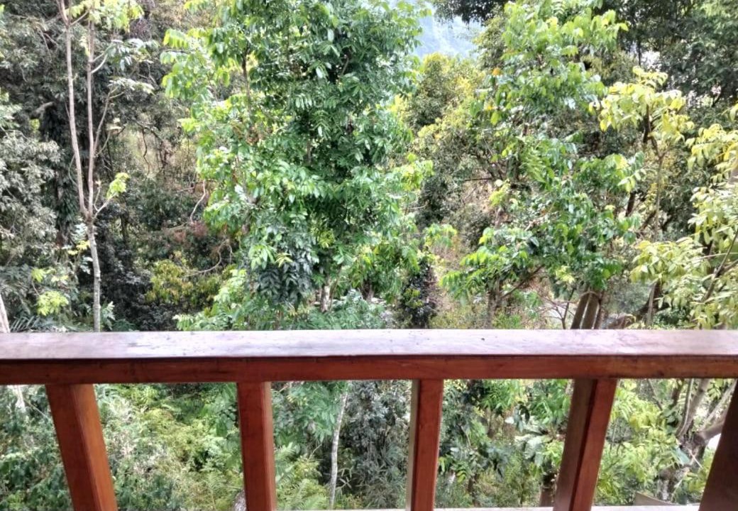 Photo of Others in Bukit Lawang