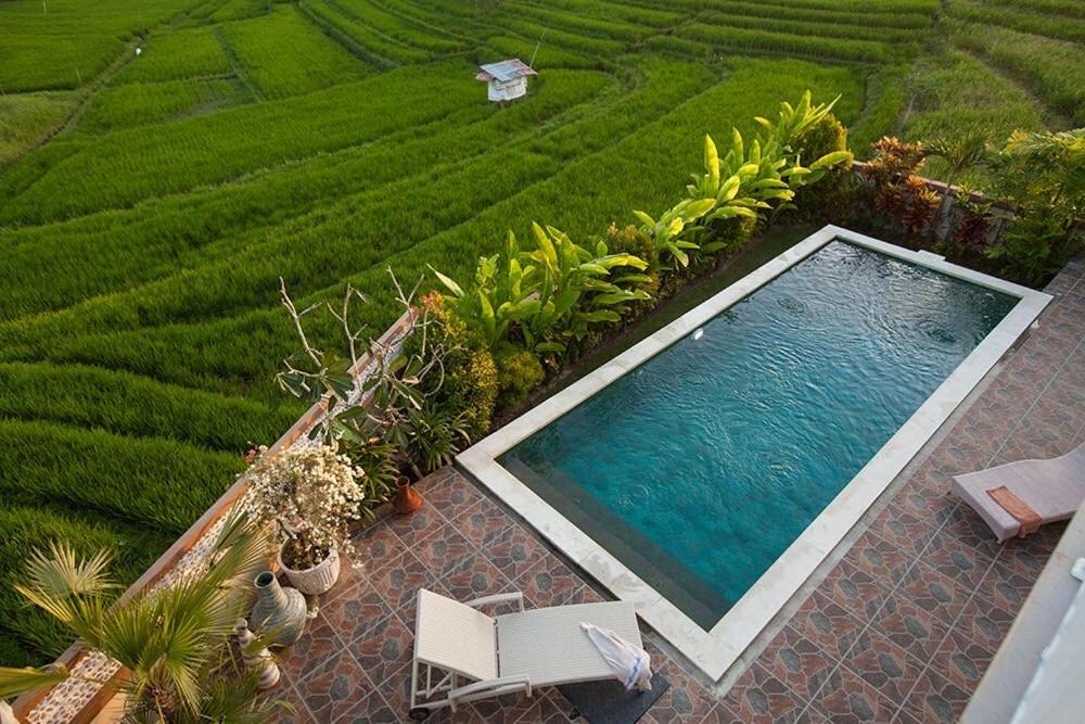 Photo of Outdoor in Padonan