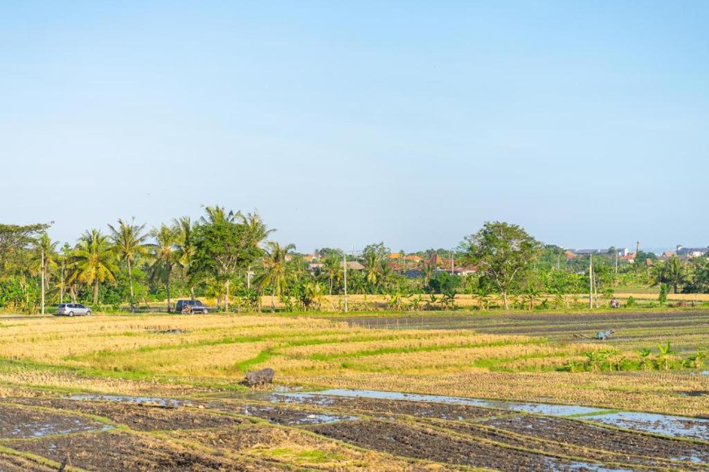 Photo of Others in Munggu
