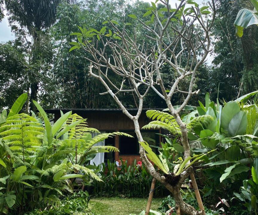 Photo of Others in Melayang