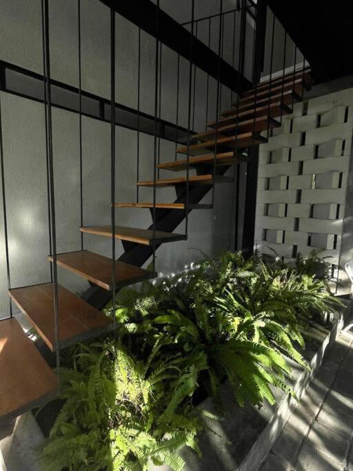 Photo of Patio Balcony in Drupadi