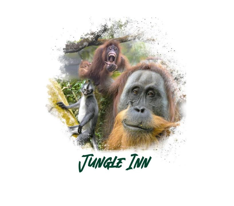 Photo of Others in Bukit Lawang