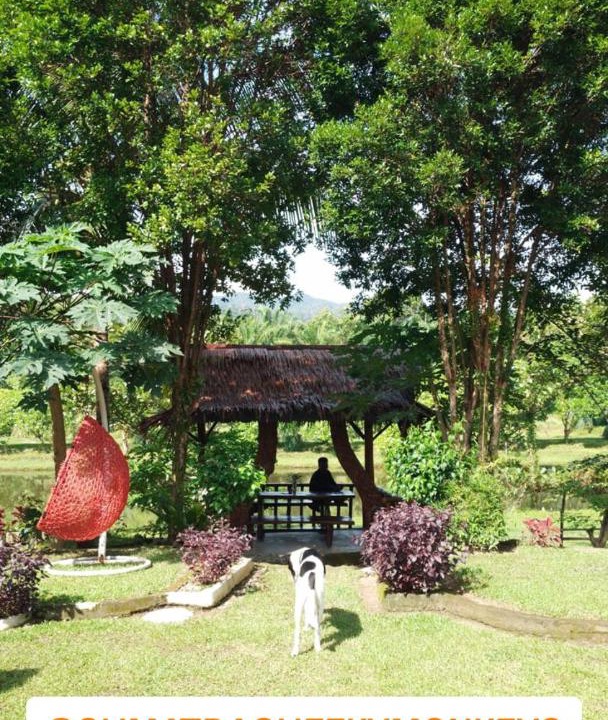 Photo of Others in Bohorok