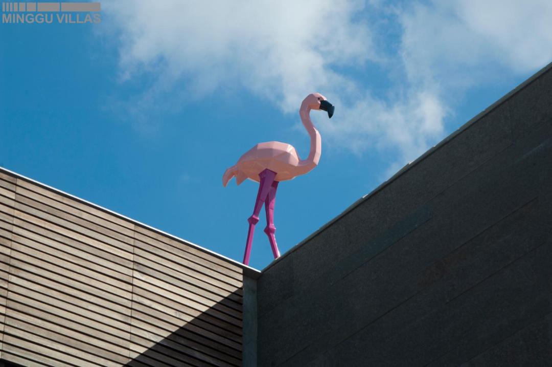 Photo of Others in Sunset Road