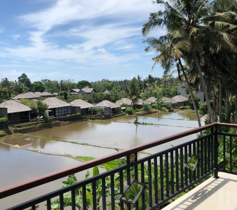 Photo of Others in Ubud City-Centre