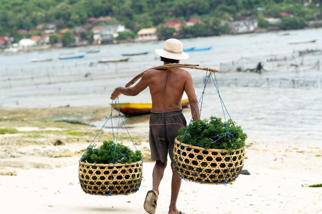 Photo of Others in Mushroom Bay