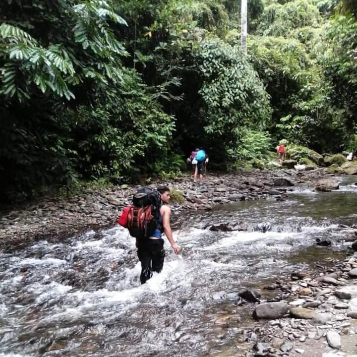 Photo of Human In Picture in Bukit Lawang
