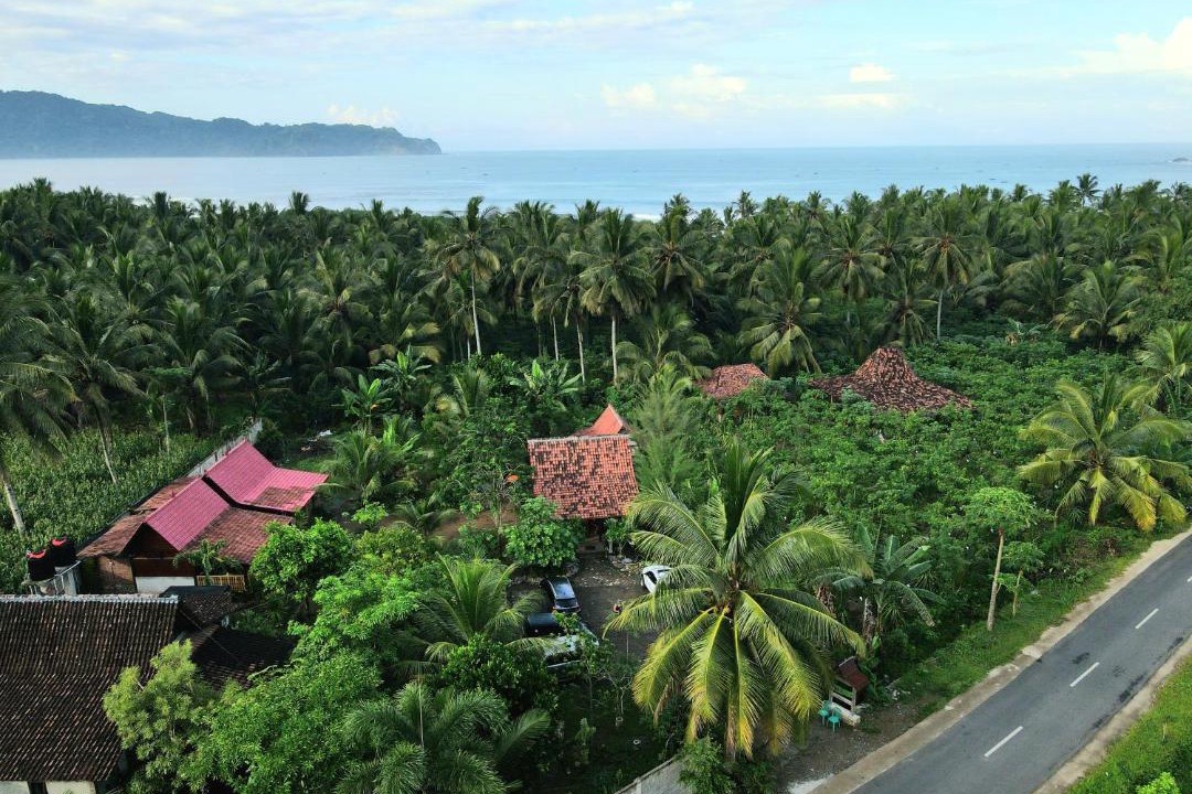 Photo of Others in Sarongan