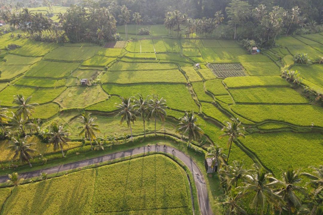Photo of Others in Kenderan