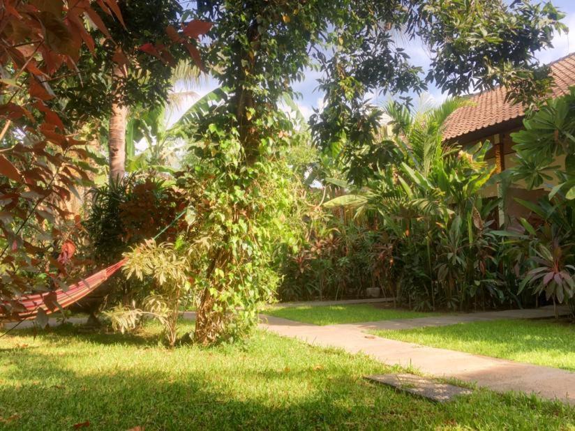 Photo of Others in Pemuteran