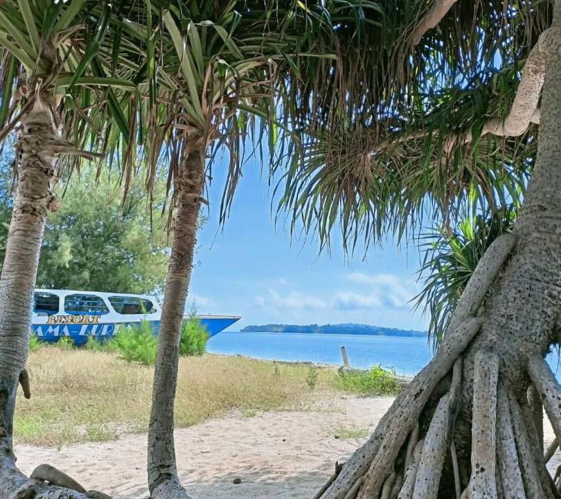 Photo of Others in Gili Air
