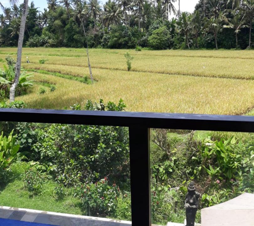 Photo of Others in Kemenuh