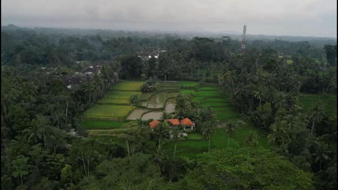 Photo of Others in Petak