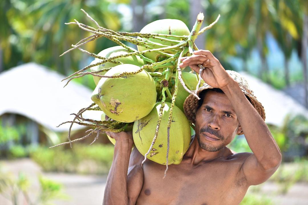 Photo of Others in Maumere