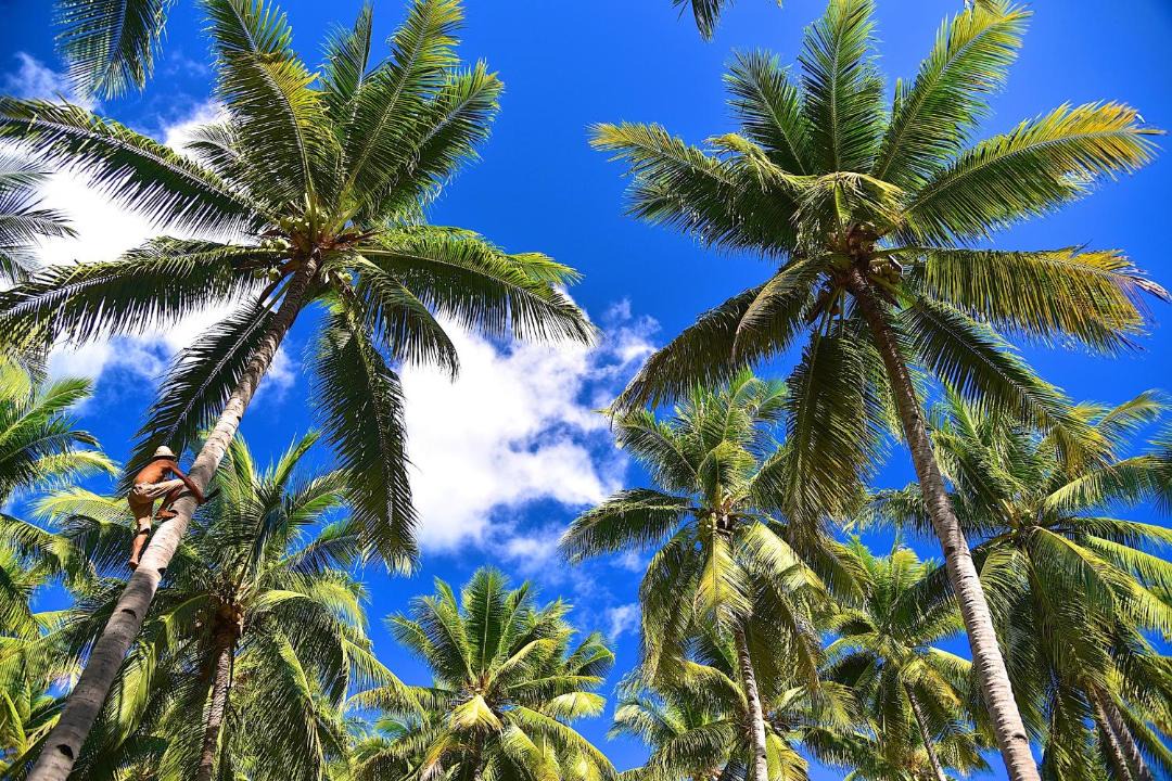 Photo of Others in Maumere