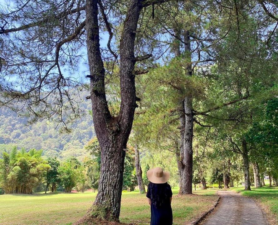 Photo of Others in Bedugul