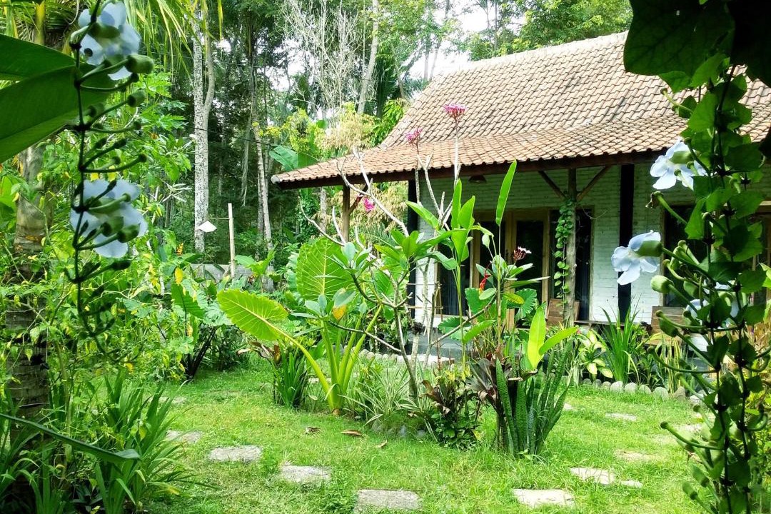 Photo of Others in Medewi