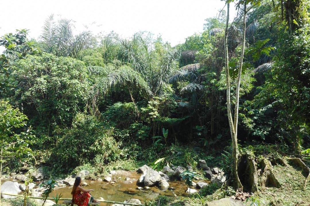 Photo of Others in Wongaya Gede