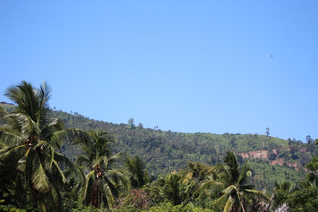 Photo of Others in Pineleng