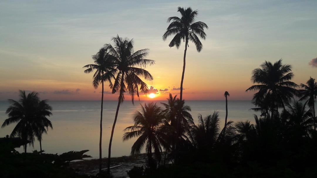 Photo of Others in Tomia Island
