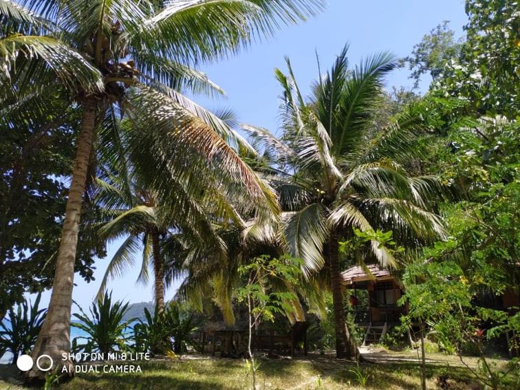 Photo of Others in Batudaka Island