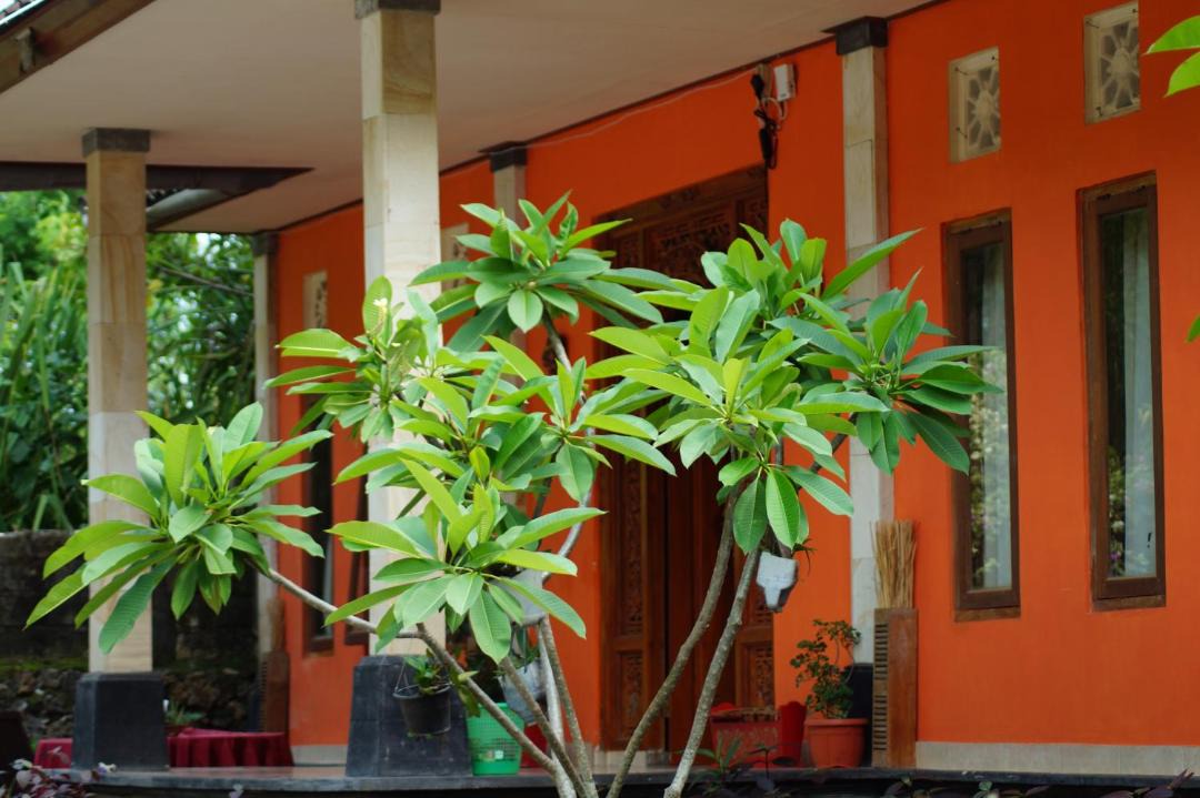 Photo of Others in Pecatu