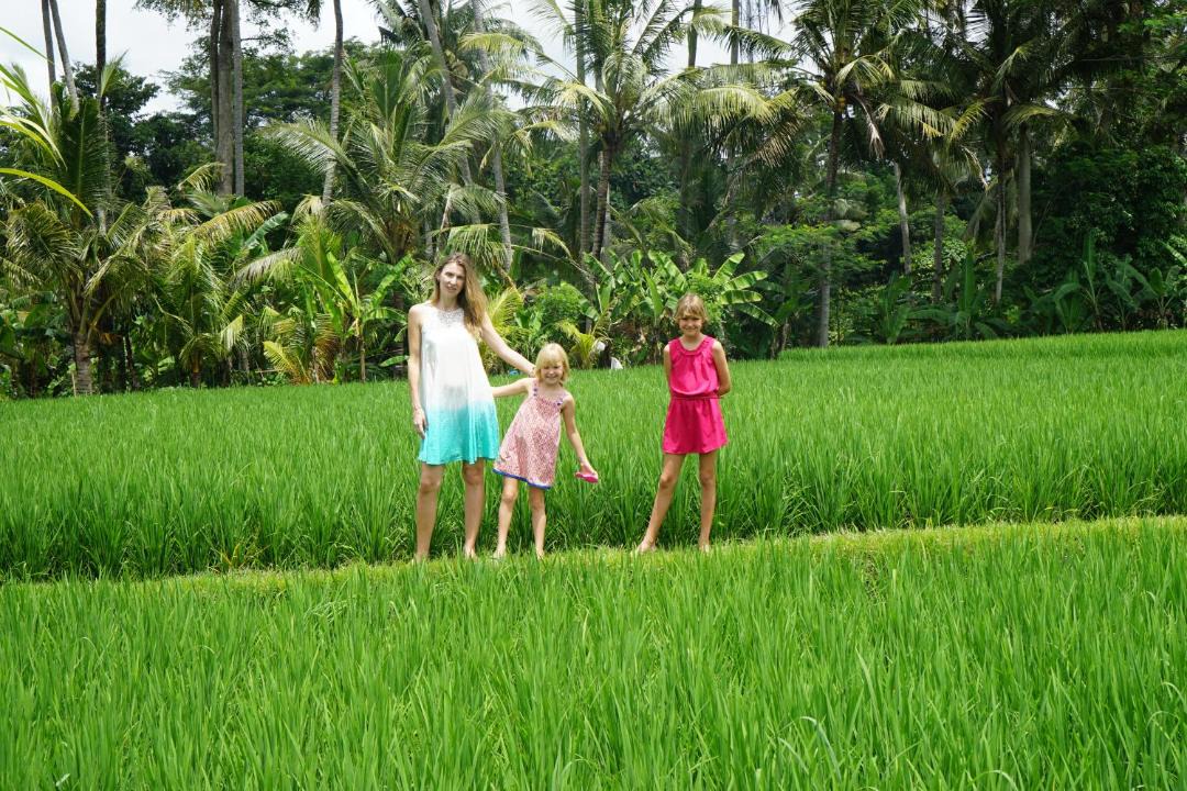 Photo of Others in Kedewatan