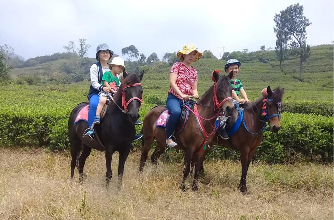 Photo of Others in Ciater