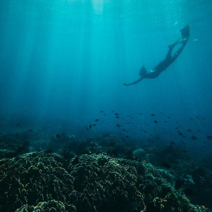 Photo of Others in P. Gili Asahan