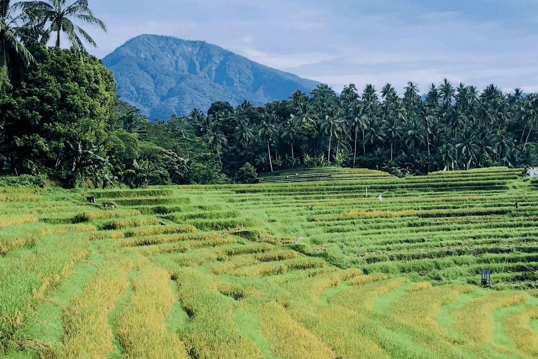 Photo of Others in East Selemadeg