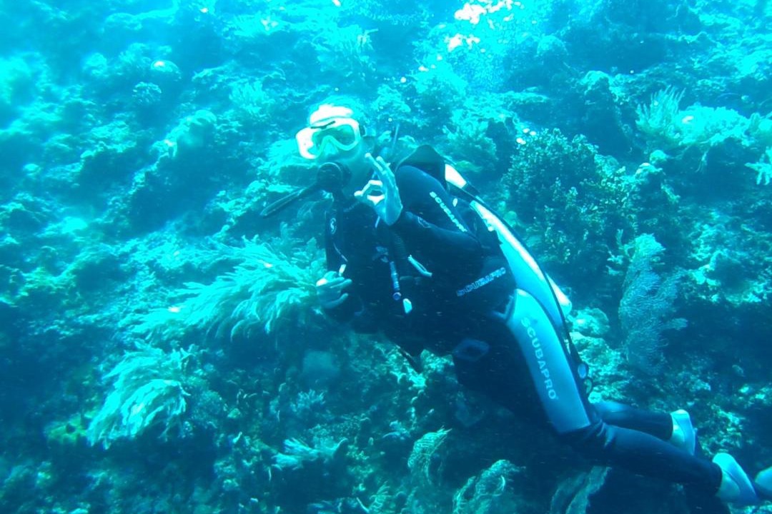 Photo of Others in Wanci