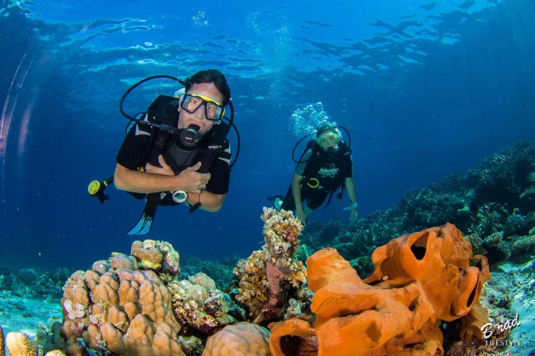 Photo of Human In Picture in Batudaka Island