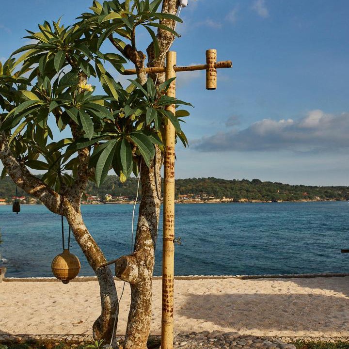 Photo of Others in Mushroom Bay