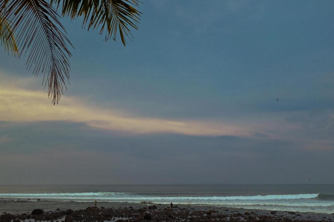 Photo of Others in Medewi