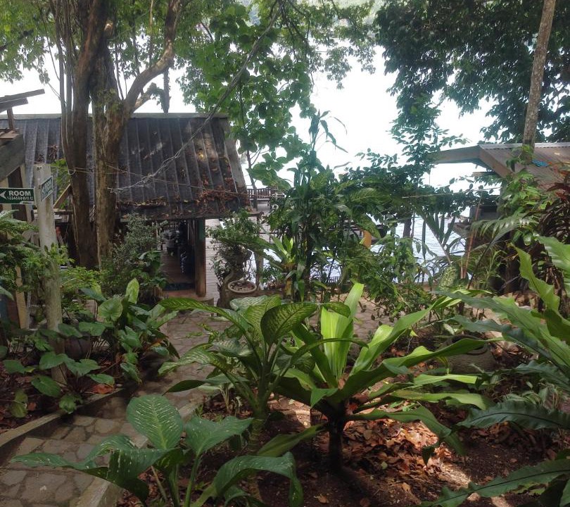 Photo of Others in Iboih