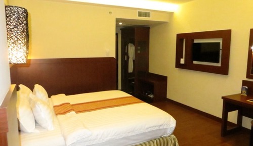 Superior Room, 1 Double Bed, Non Smoking, City View (Shower Only)