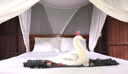 Traditional Double Room, Private Bathroom