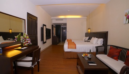 Superior Room, 1 King Bed, Non Smoking, City View (Shower Only)