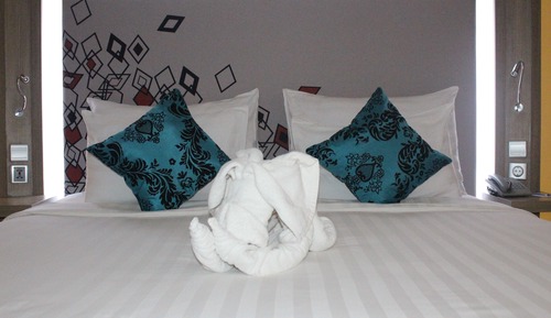 Deluxe Room, 1 Double Bed