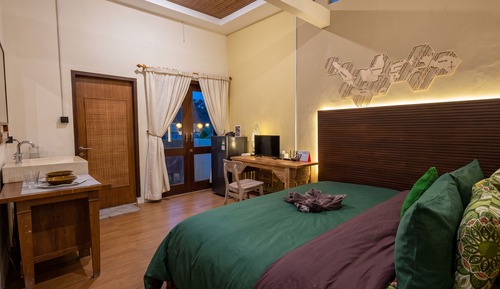 Studio, 1 King Bed