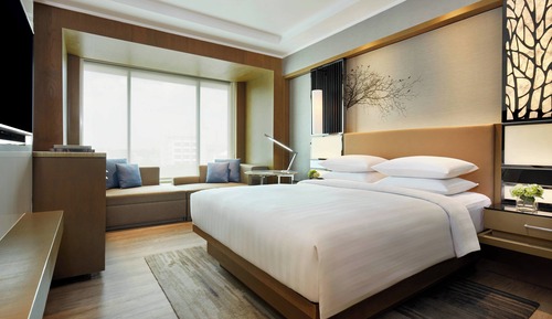 Room, 1 King Bed