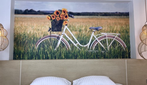 Executive Apartment, 1 King Bed