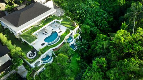 Jungle Canopy Suite