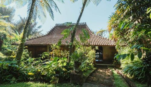 Suite Villa with Rainforest View