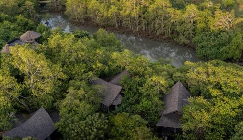 Treehouse Hideaway with Free 1x 2 Bottles Beer, 15% F&B Discount, VIP Access to Luna Beach Club and Nuanu Tour