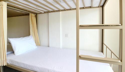 Bed in 6-Bed Mixed Dormitory Room
