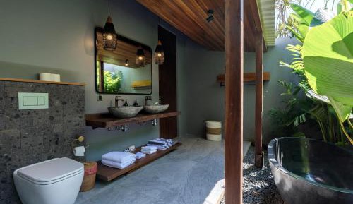 One-Bedroom Villa