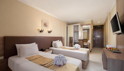 Superior Double or Twin Room