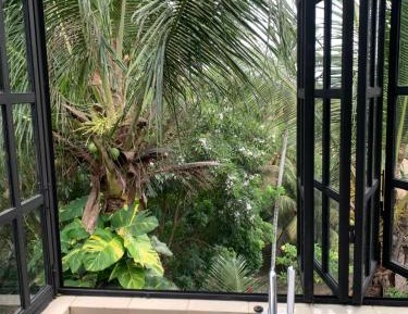 Executive Double Room with Rice Field View