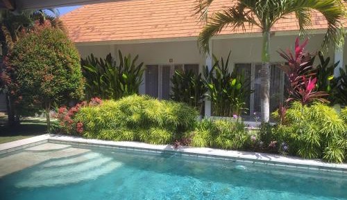 King Room with Pool View